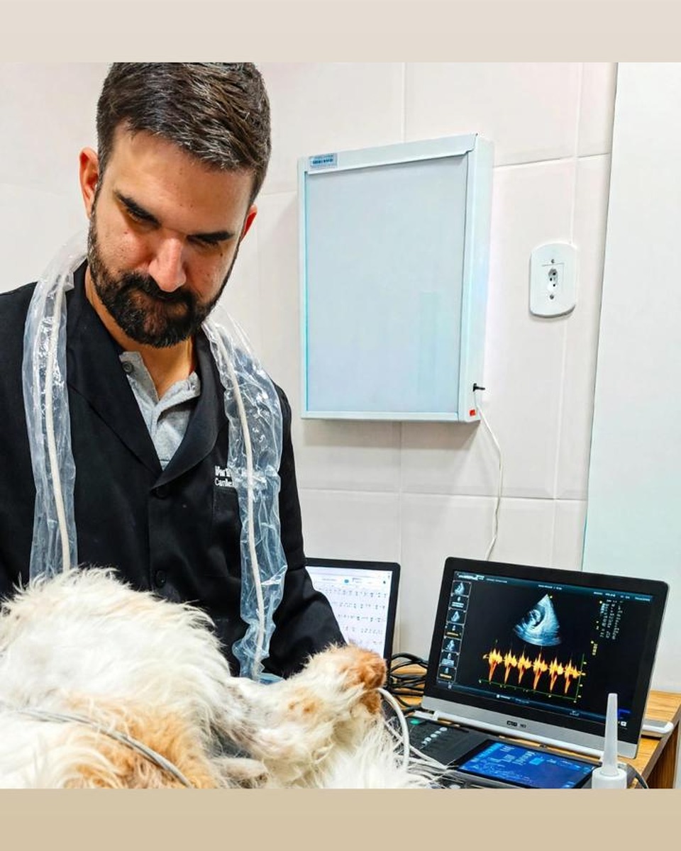 Dr. Murilo Oliveira durante exame cardiológico em um cão.